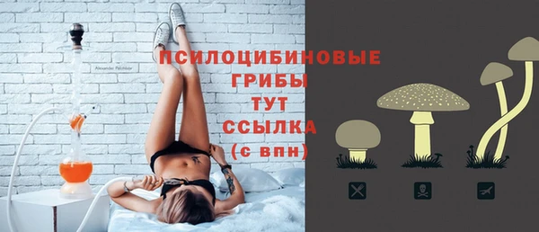 ECSTASY Дмитровск