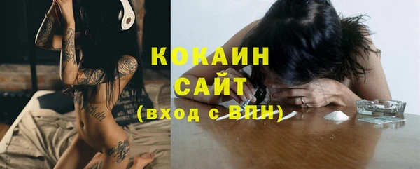 гашик Дмитриев