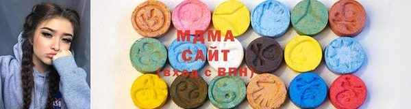 амф Ельня