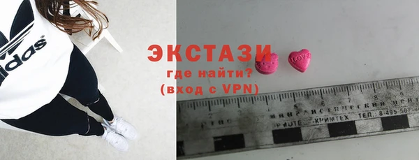 амф Ельня