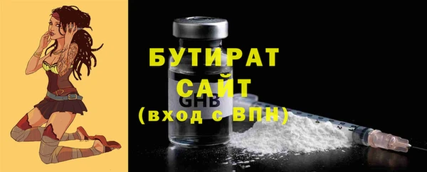 амф Ельня