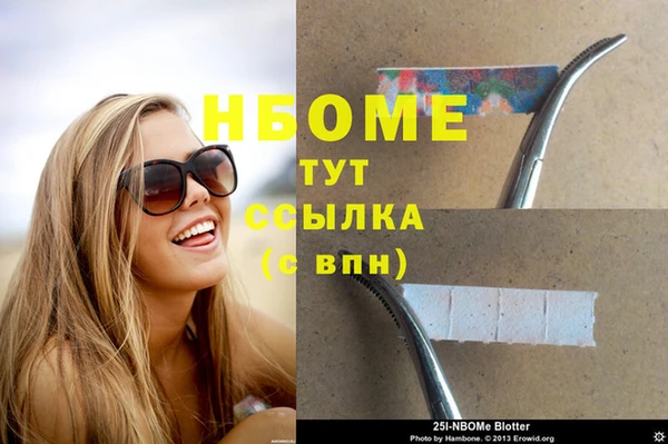 гашик Дмитриев