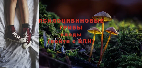 гашик Дмитриев