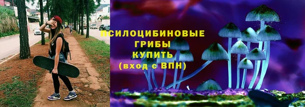 амф Ельня