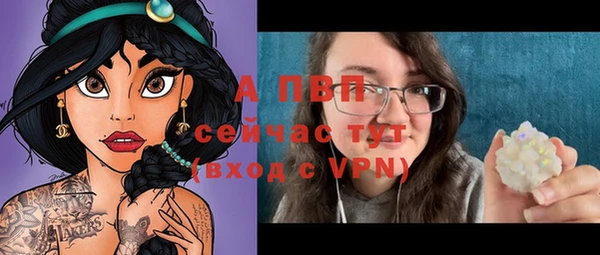 гашик Дмитриев
