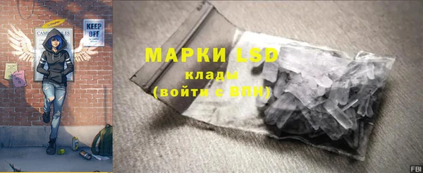 гашик Дмитриев