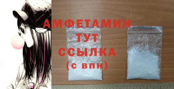 амф Ельня