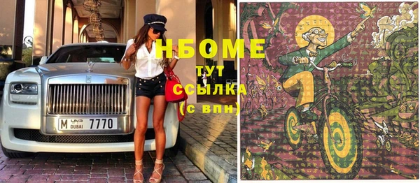 амф Ельня