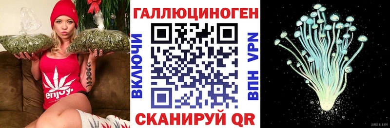 Псилоцибиновые грибы Psilocybine cubensis Котлас